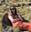 Photo of Jessica Tallon